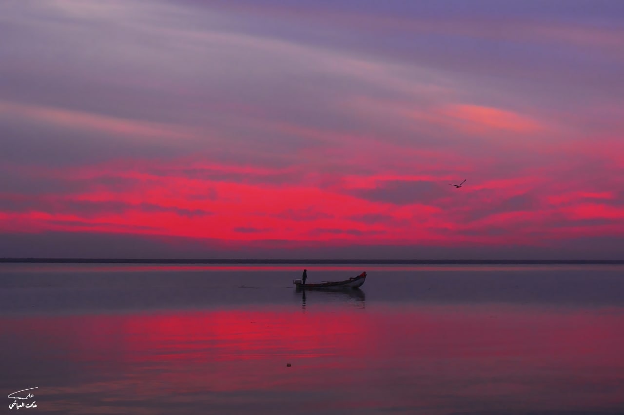 صورة