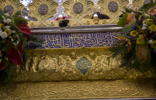 ضريح أبي الفضل العباس