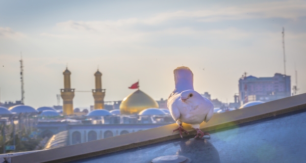 حرم الإمام الحسين (عليه السلام)