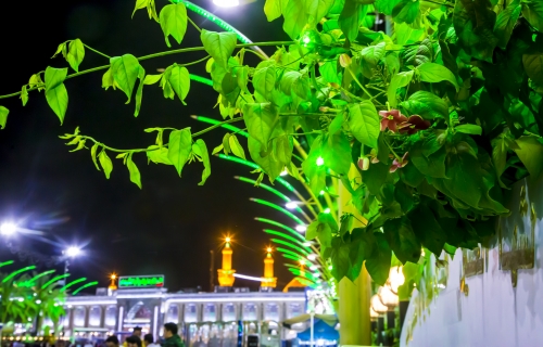 حرم الإمام الحسين (عليه السلام)