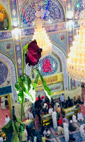 حرم الإمام الحسين (عليه السلام)