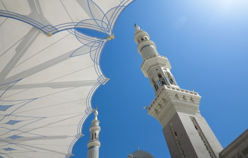 المدينة المنورة
