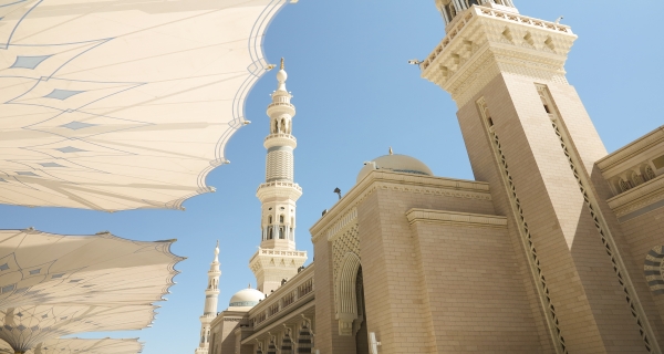 المدينة المنورة