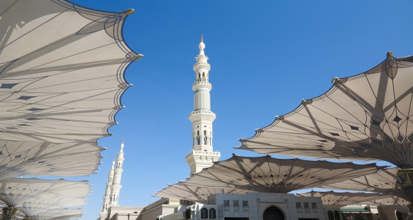 المدينة المنورة