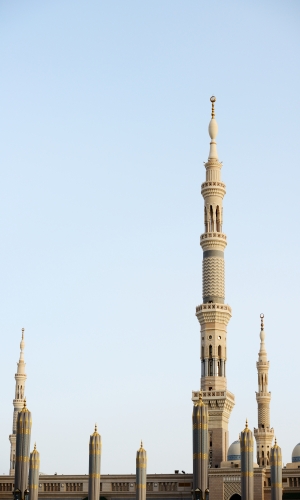 المدينة المنورة