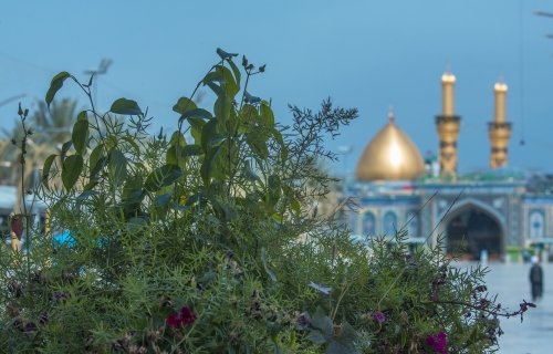 مرقد الامام العباس (عليه السلام)