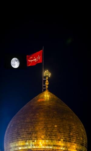 الحرم الزينبي