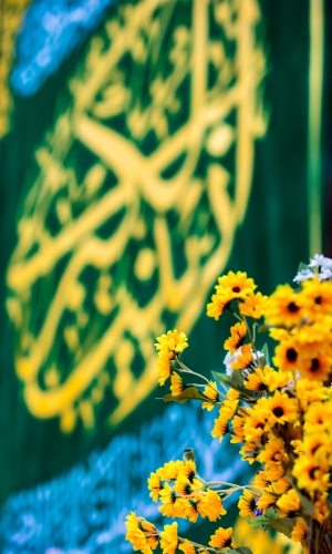ميلادُ السيدة زينب سلام الله عليها