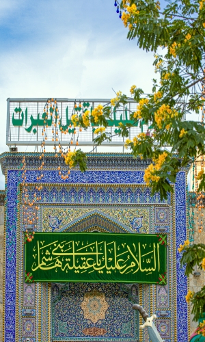 ميلادُ السيدة زينب سلام الله عليها