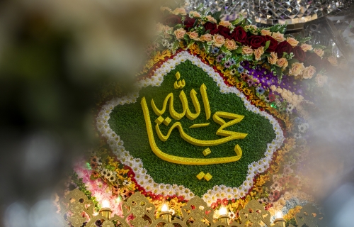 ذكرى ولادة الإمام المهدي سلام الله عليه