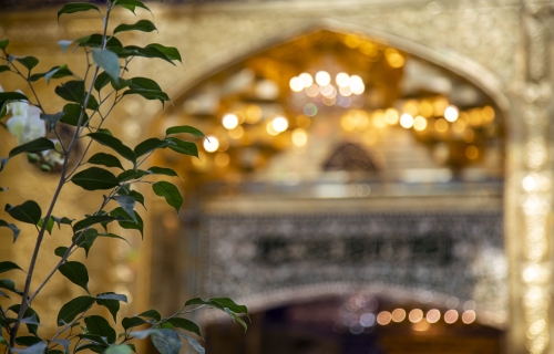 السلام عليك يا ابا الفضل العباس