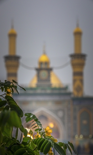 السلام عليك يا ابا الفضل العباس