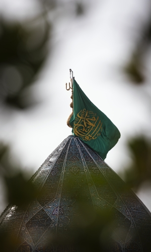 ميلاد الأمل