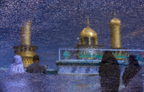 زائري حرم أبي الفضل 