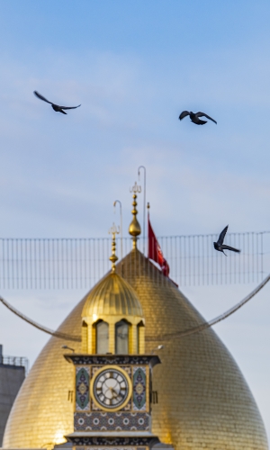 السلام عليك يا أبا الفضل العباس