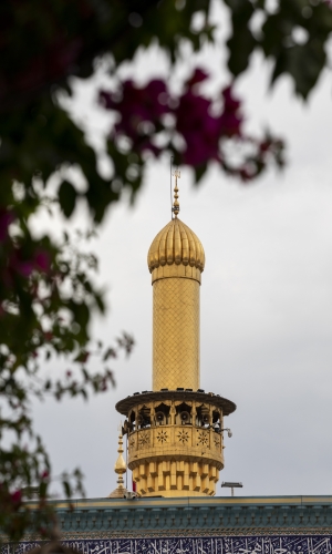 اللهم صل على محمد وآل محمد