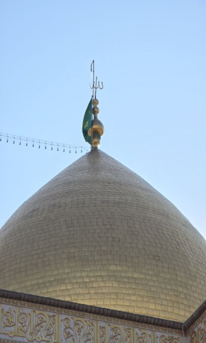 السلام عليك ياسفير الحسين عليه السلام 