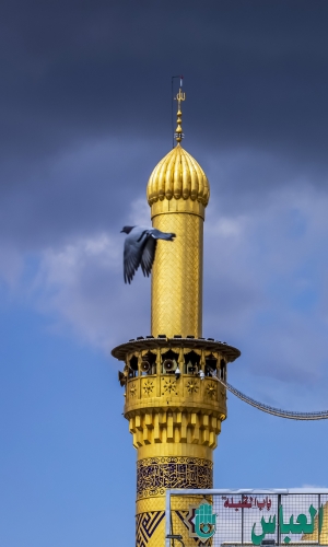 الطيور تعانق منارة أبي الفضل العباس علية السلام