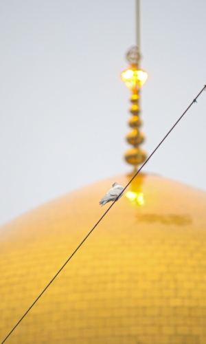 السلام عليك ياأنيس النفوس 