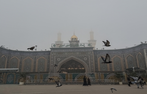 طيور صحن أبي الفضل العباس 