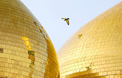 قبتين الامامين الجوادين عليهما السلام 