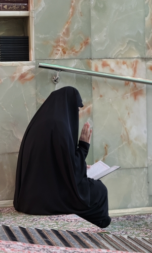 صحن الامام الحسين (عليه السلام )