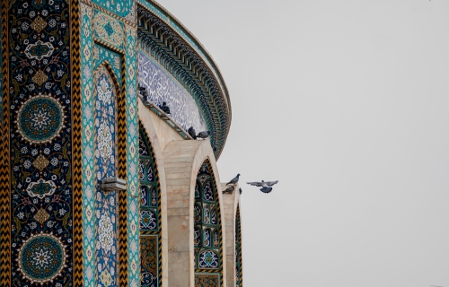  ⁨ طيور تحلّق بين زخارف القداسة …⁩