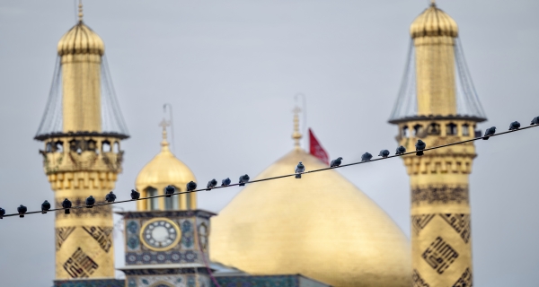 طيور _ الحمام حرم المولى أبي الفضل العباس (عليه السلام)