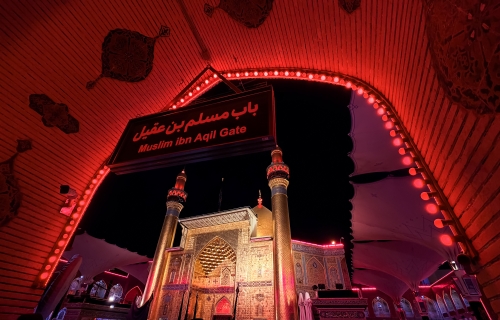 السلام عليك يا امير المؤمنين وسيد الوصيين