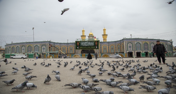 طيور _ الحمام صحن المولى أبي الفضل العباس 