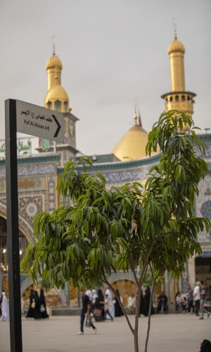 مرقد المولى أبي الفضل العباس (ع)