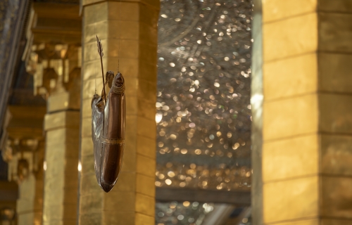 صحن المولى أبي الفضل العباس (ع)