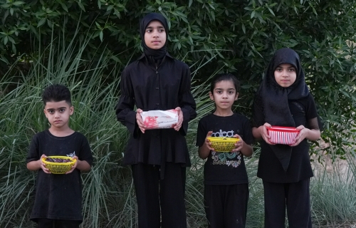 موكب أنصار الزهراء البتول (عليها السلام)