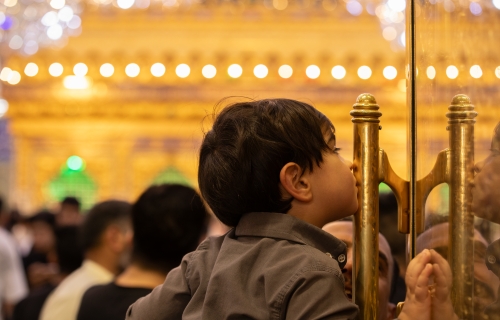  ضريح المولى أبي الفضل العباس (عليه السلام)